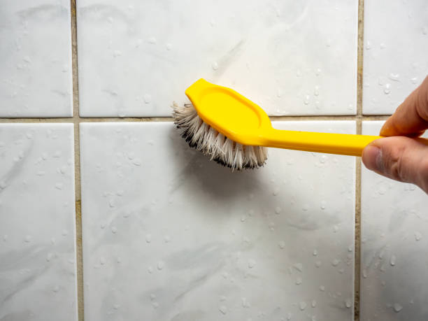 Best Affordable Mold Removal  in Palmetto, GA